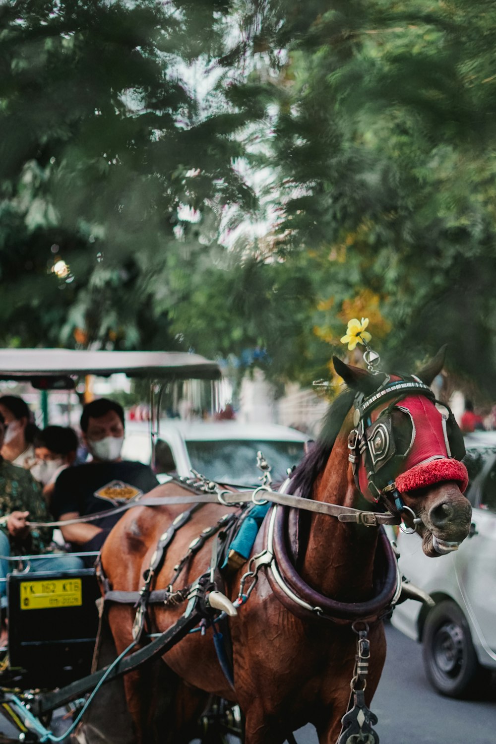 a horse pulling a carriage down a street