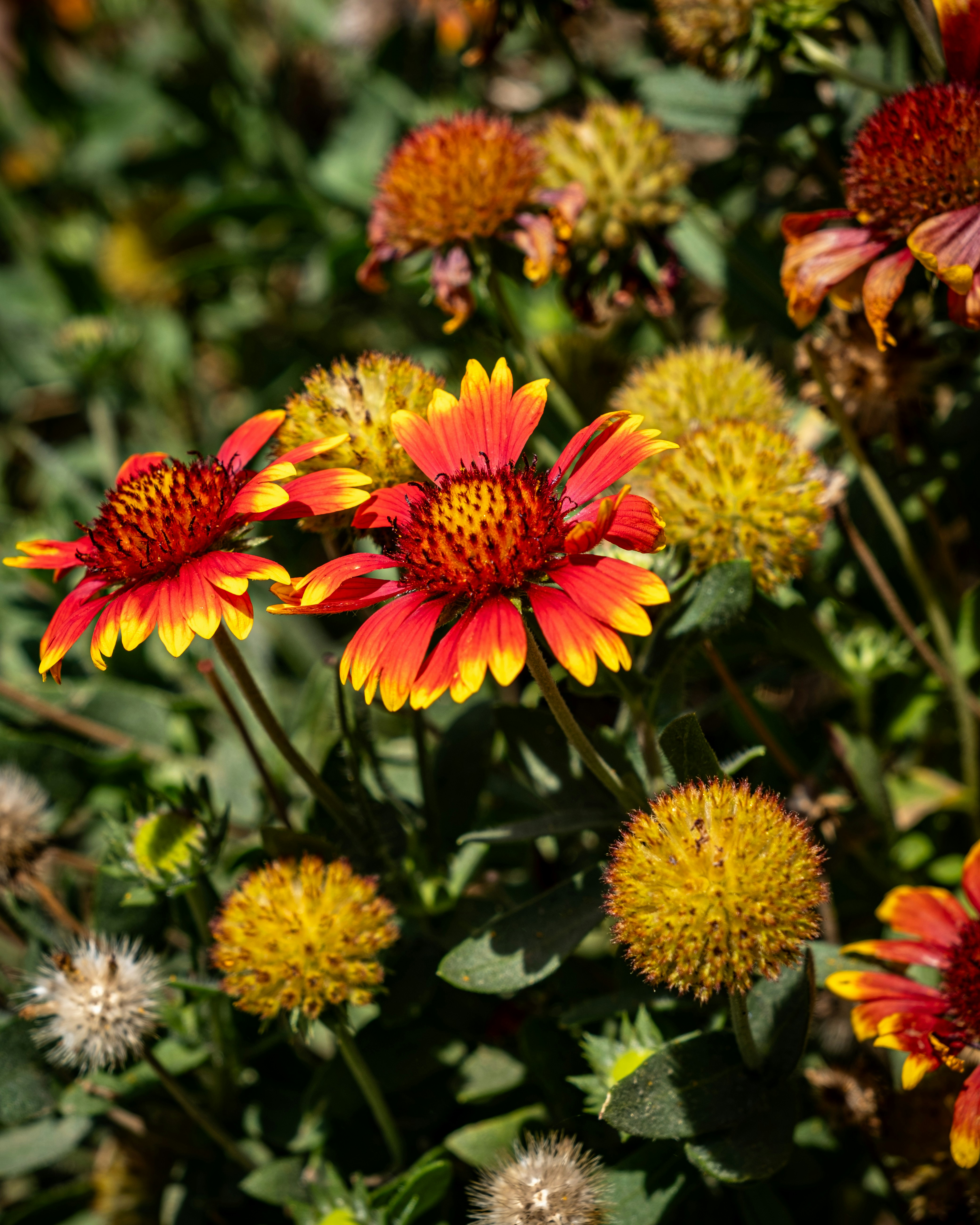 Photo by v91_photography