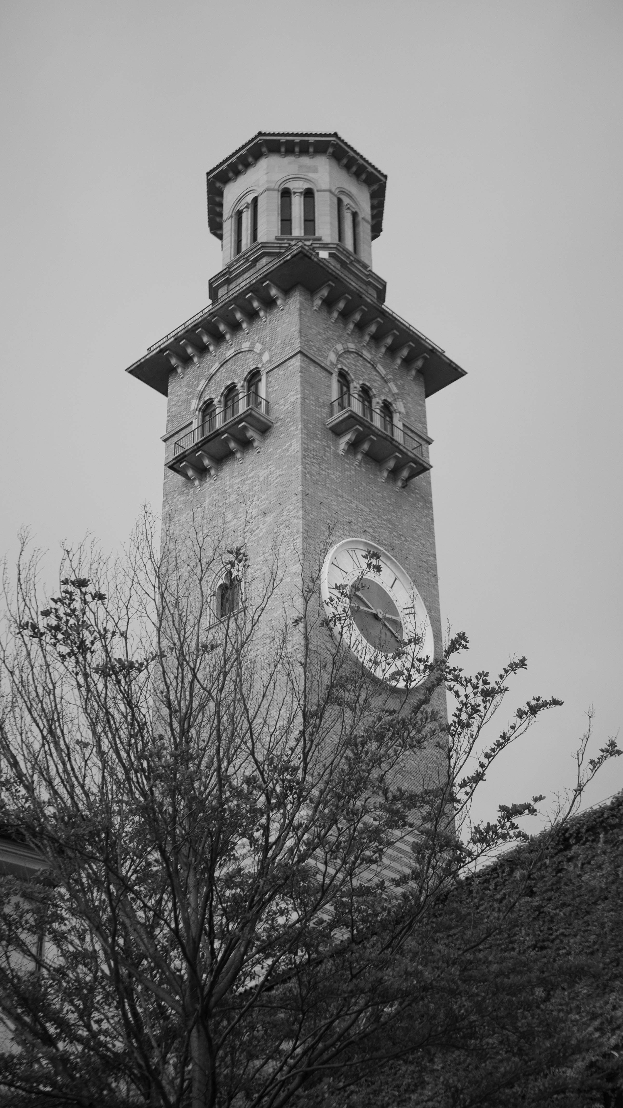 Photo by maivophucthanh