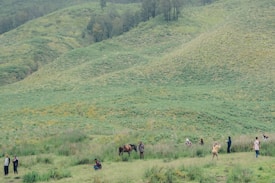 A lush green landscape with rolling hills and scattered patches of tall grass. Several people are walking or standing around, and a horse with a saddle is visible. The scene conveys a serene, natural setting.