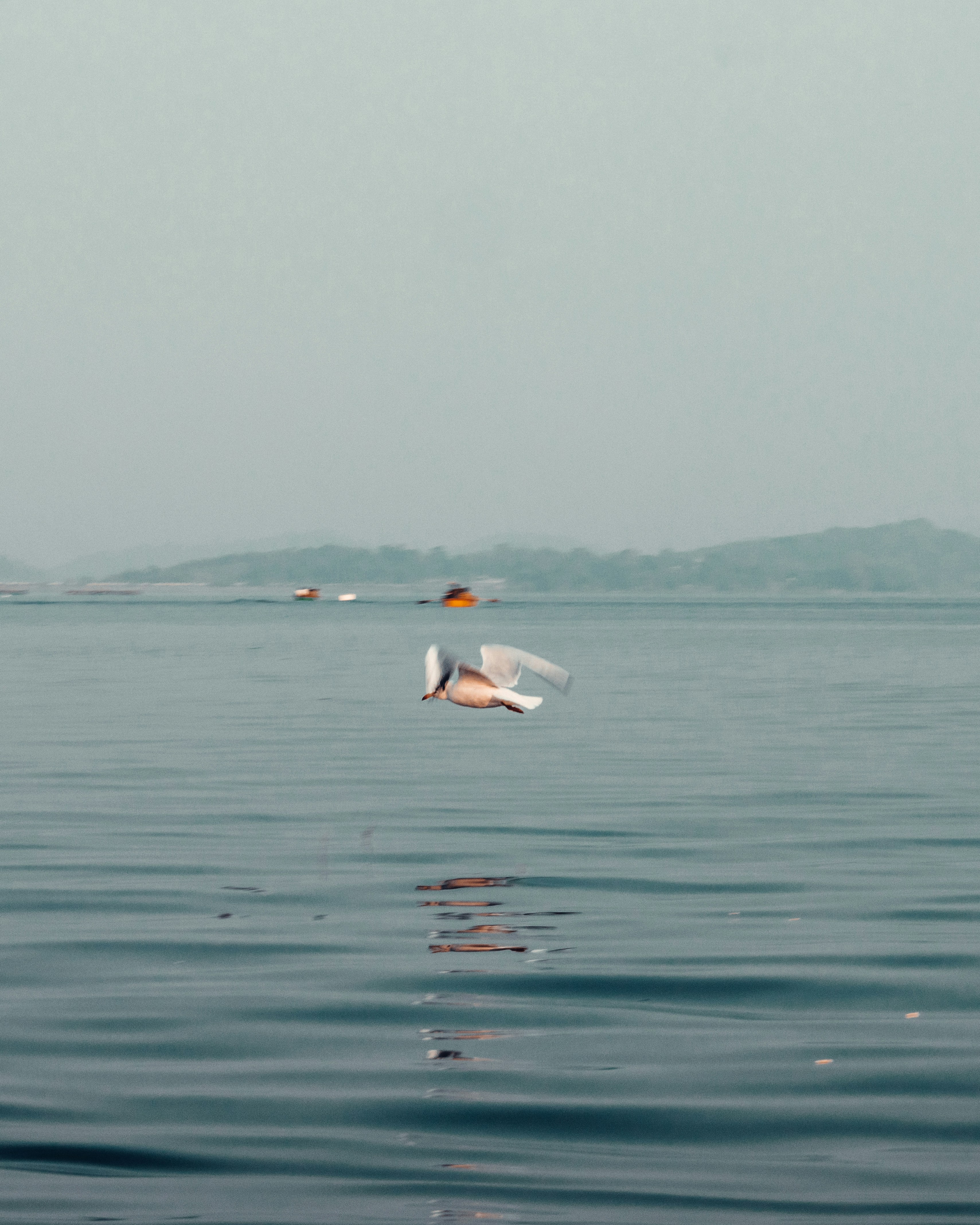 Photo by arhamsaeed
