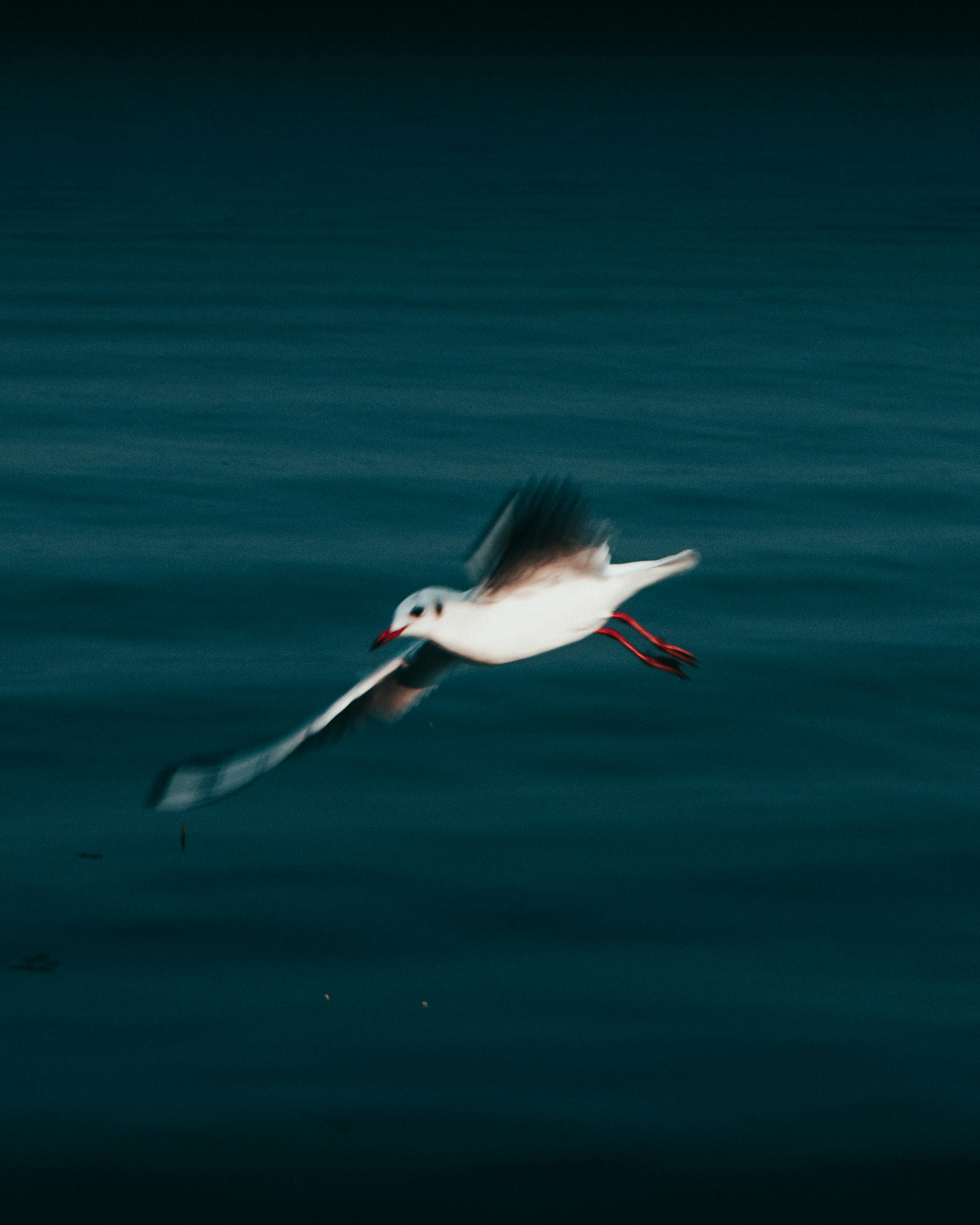 Photo by arhamsaeed