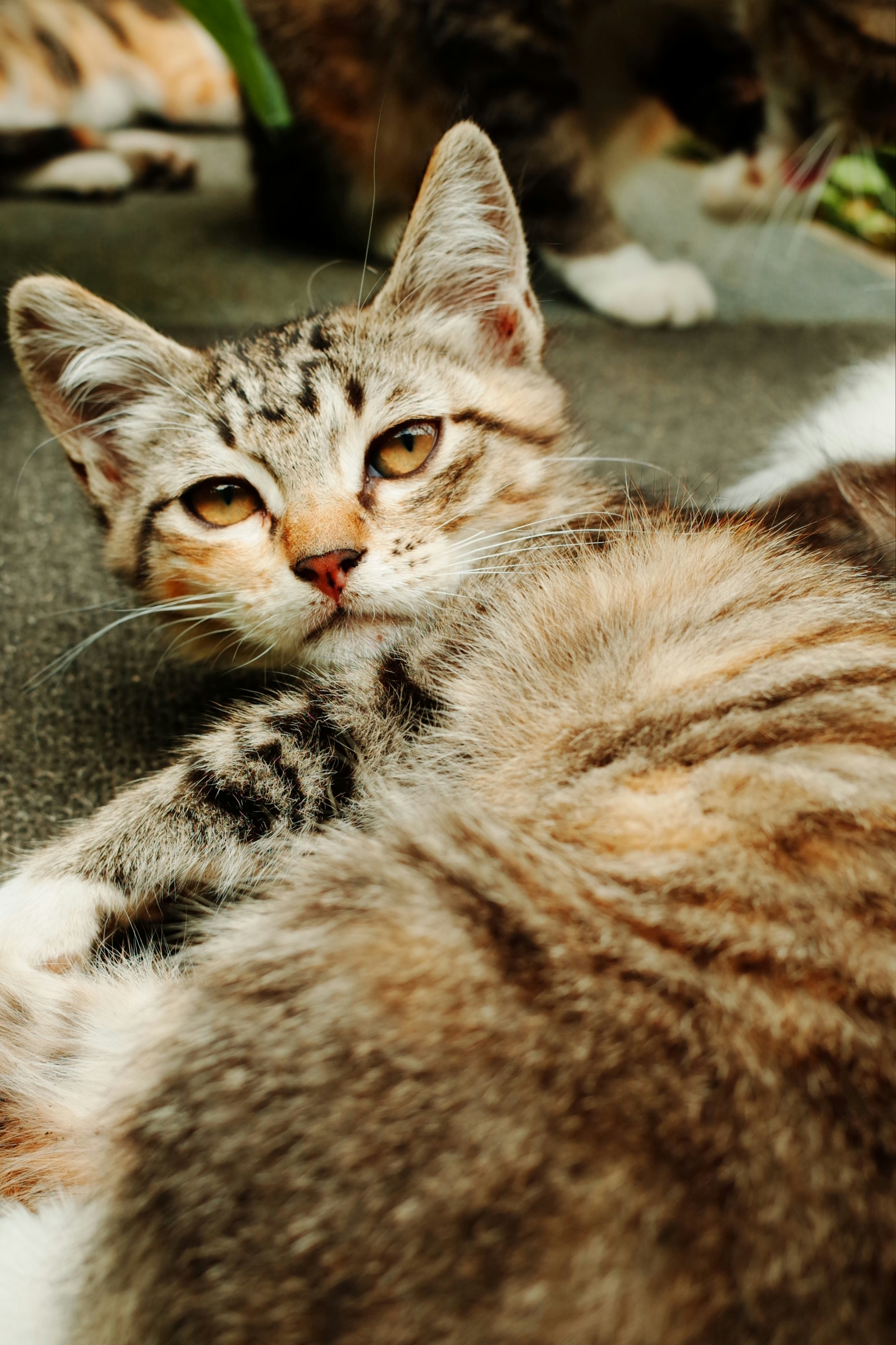 Photo by dodowang1994