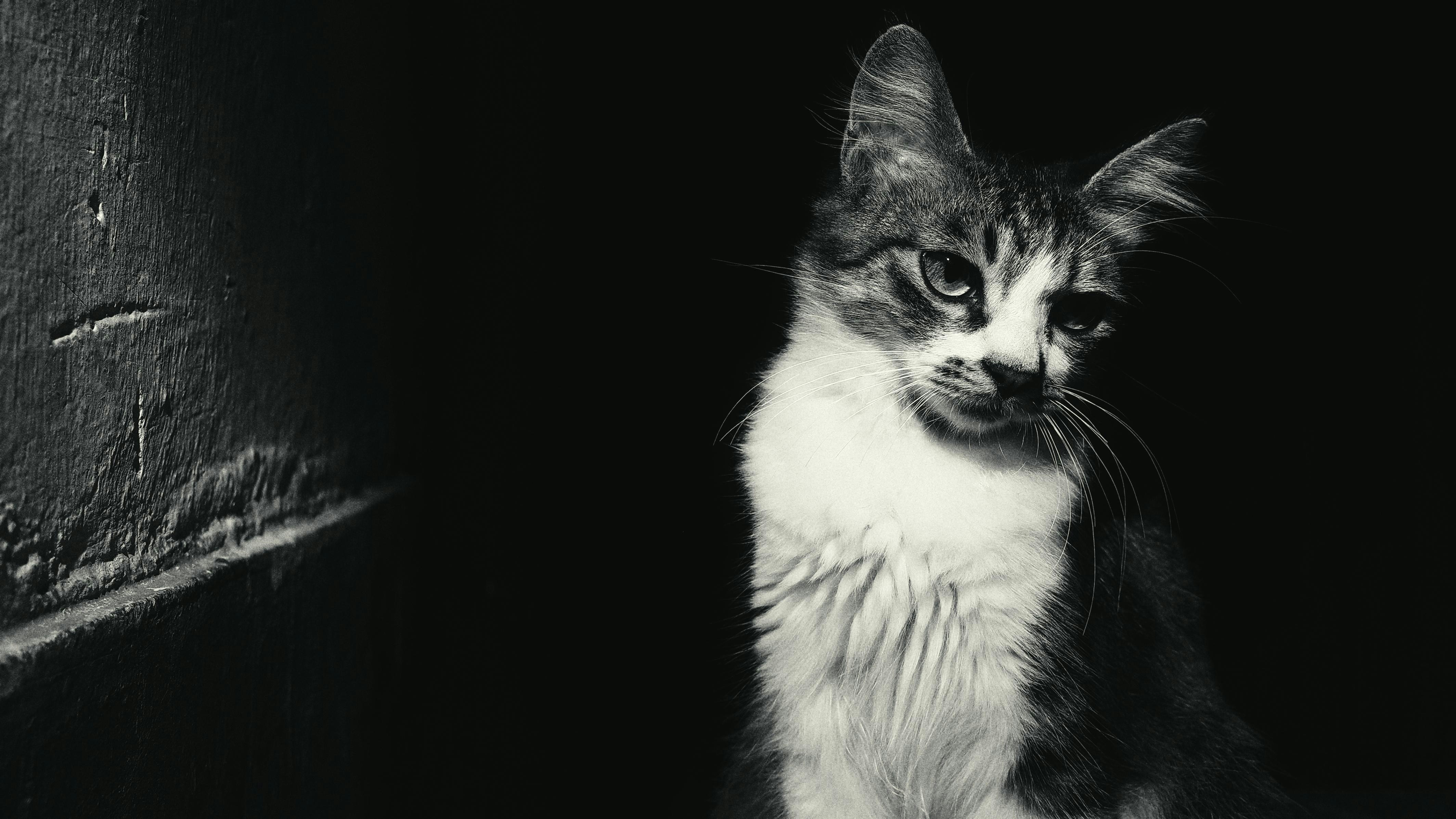 Photo by dodowang1994