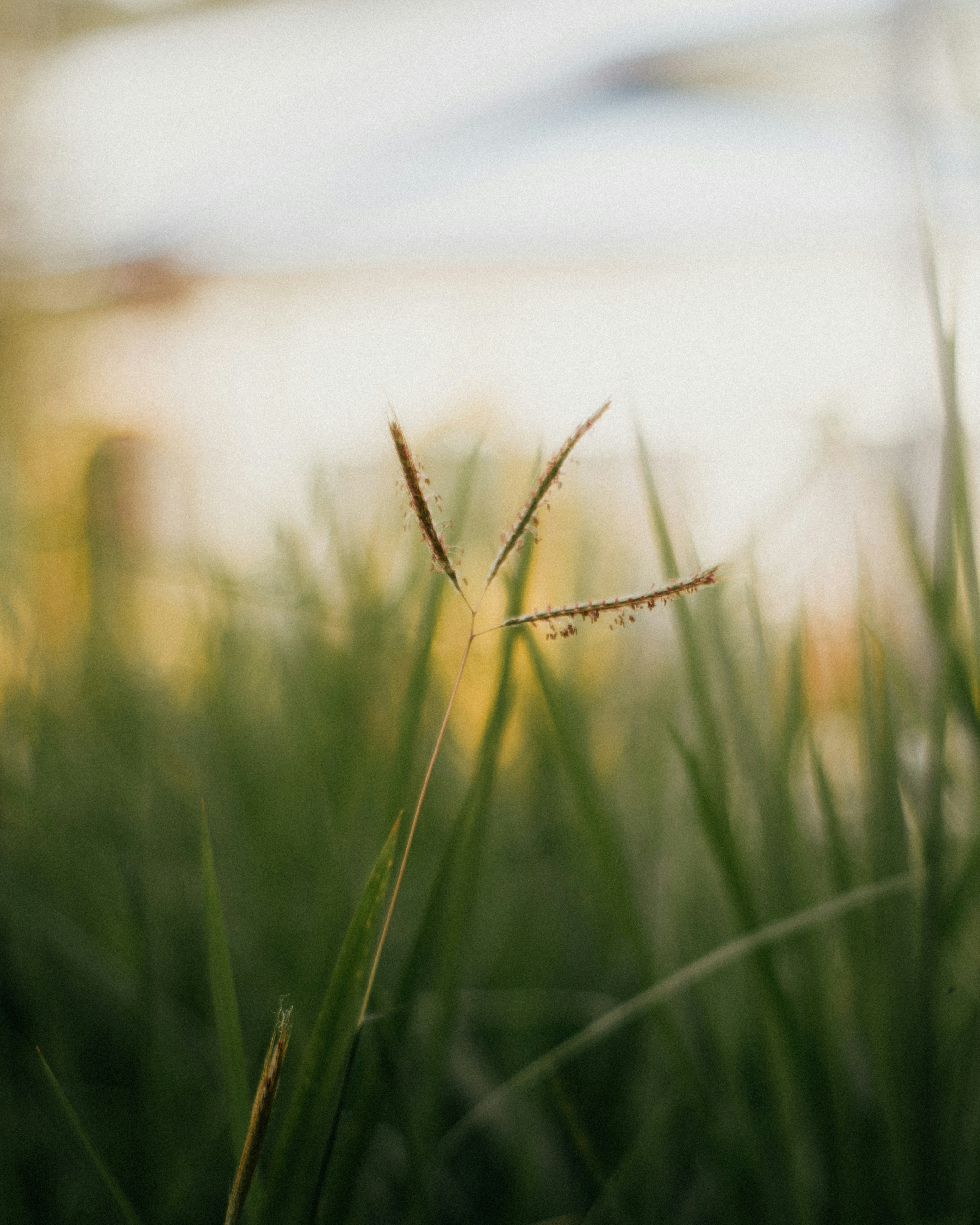 Photo by pixelbyzaki