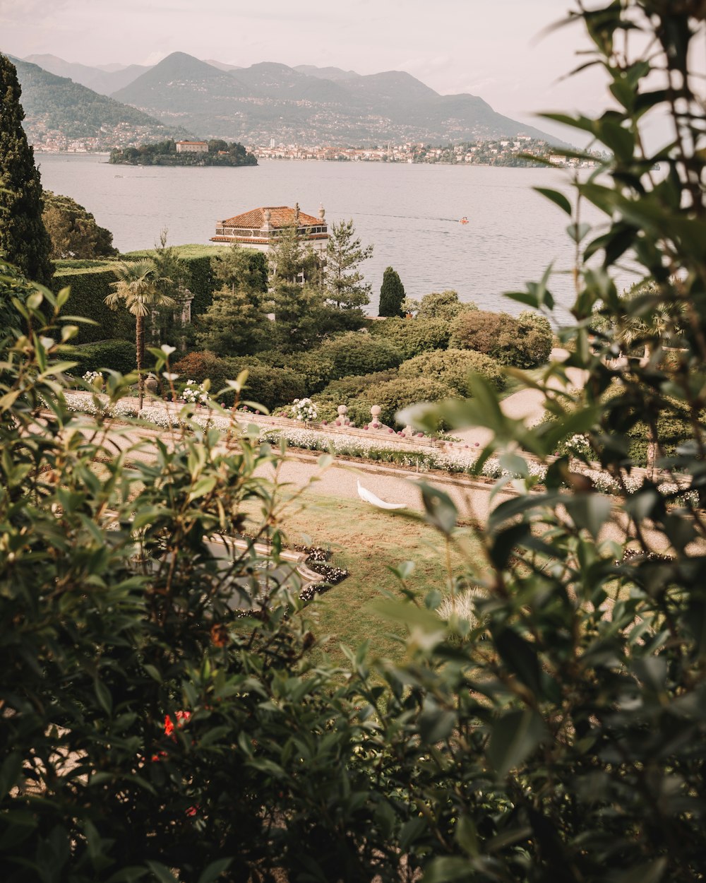 a view of a large body of water from a hill