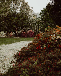 A cozy garden corner featuring balanced compositions of shrubs, trees, and flowers under warm afternoon light.
