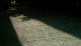 A concrete floor with visible cracks, partially illuminated by sunlight casting a shadow. There are a few small, scattered leaves on the surface, along with a piece of paper near the center.