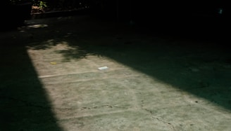 Skilled contractor inspecting a concrete slab under bright daylight.
