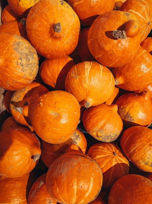 Des potimarrons orange empilés à l’étal, en pleine saison de récolte d’automne