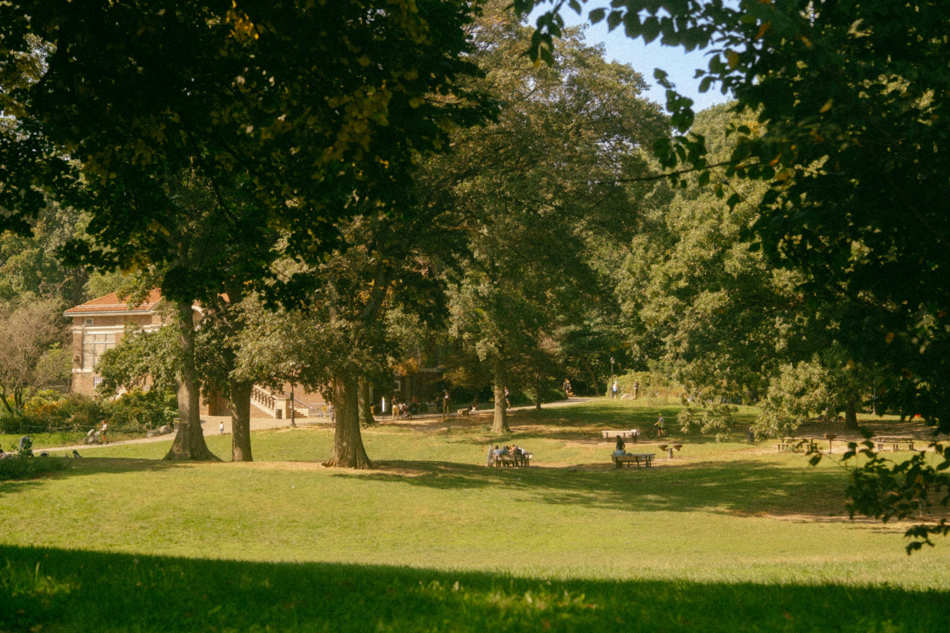 Photo by marsupialpudding