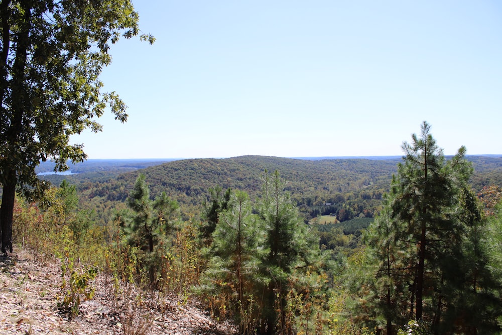 a scenic view of a wooded area with a lake in the distance