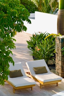 Two wooden sun loungers with white cushions and green pillows are positioned side by side on a tiled patio. They are surrounded by lush green foliage, including a prominent bushy plant and palm tree. A white wall and stone pillar are visible in the background, providing a sense of a tropical or garden setting.