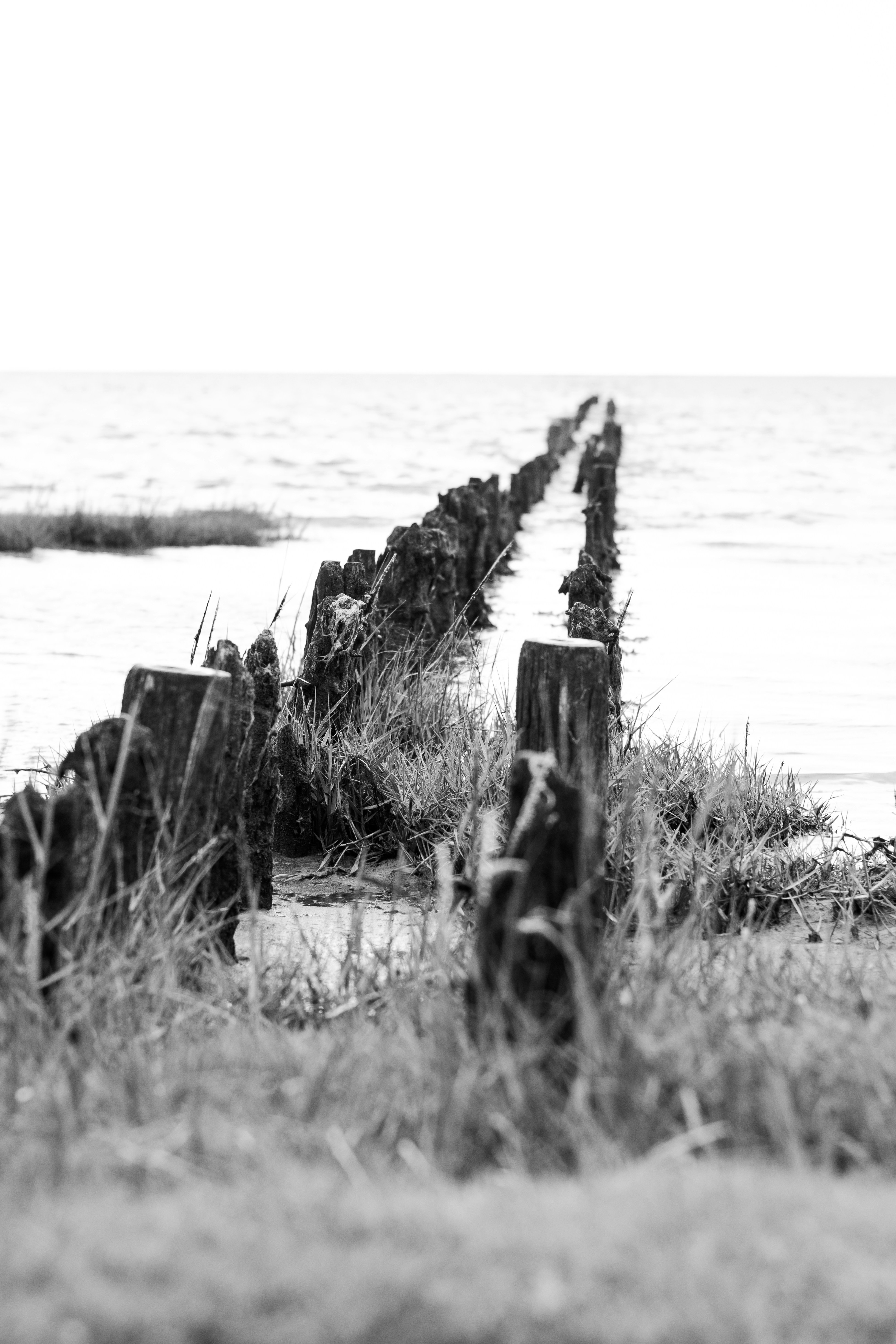 Photo by binekrafczyk