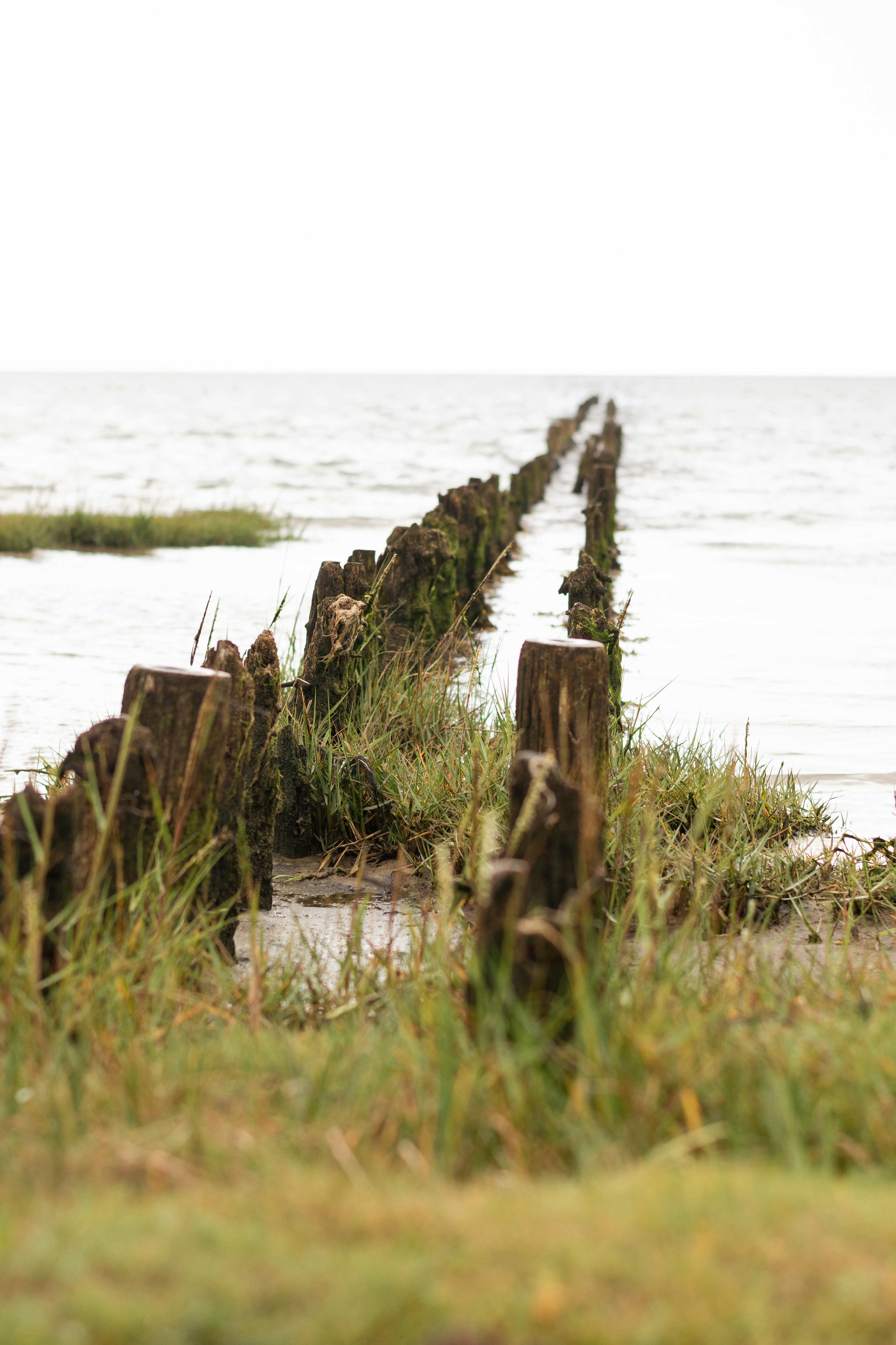 Photo by binekrafczyk