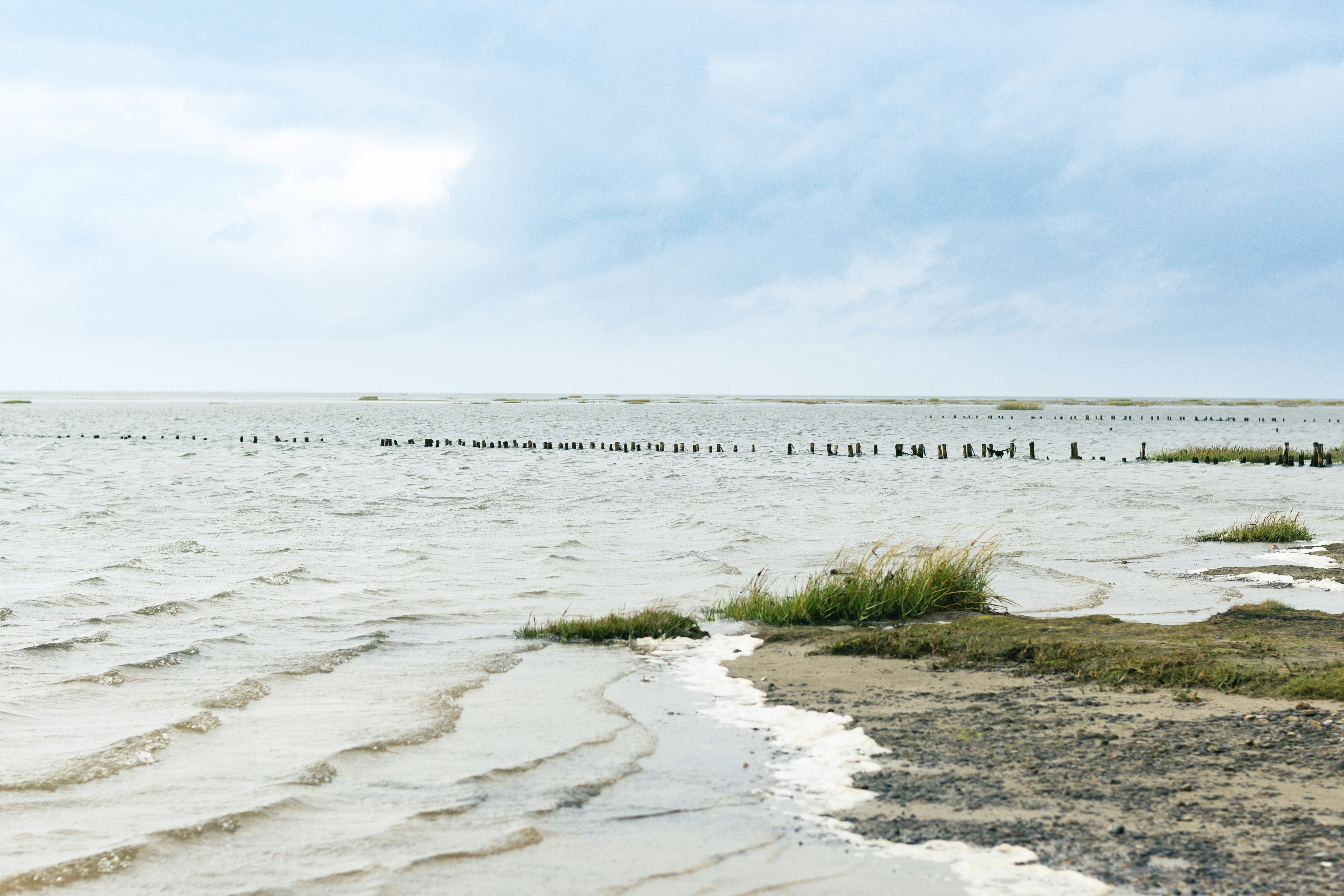 Photo by binekrafczyk