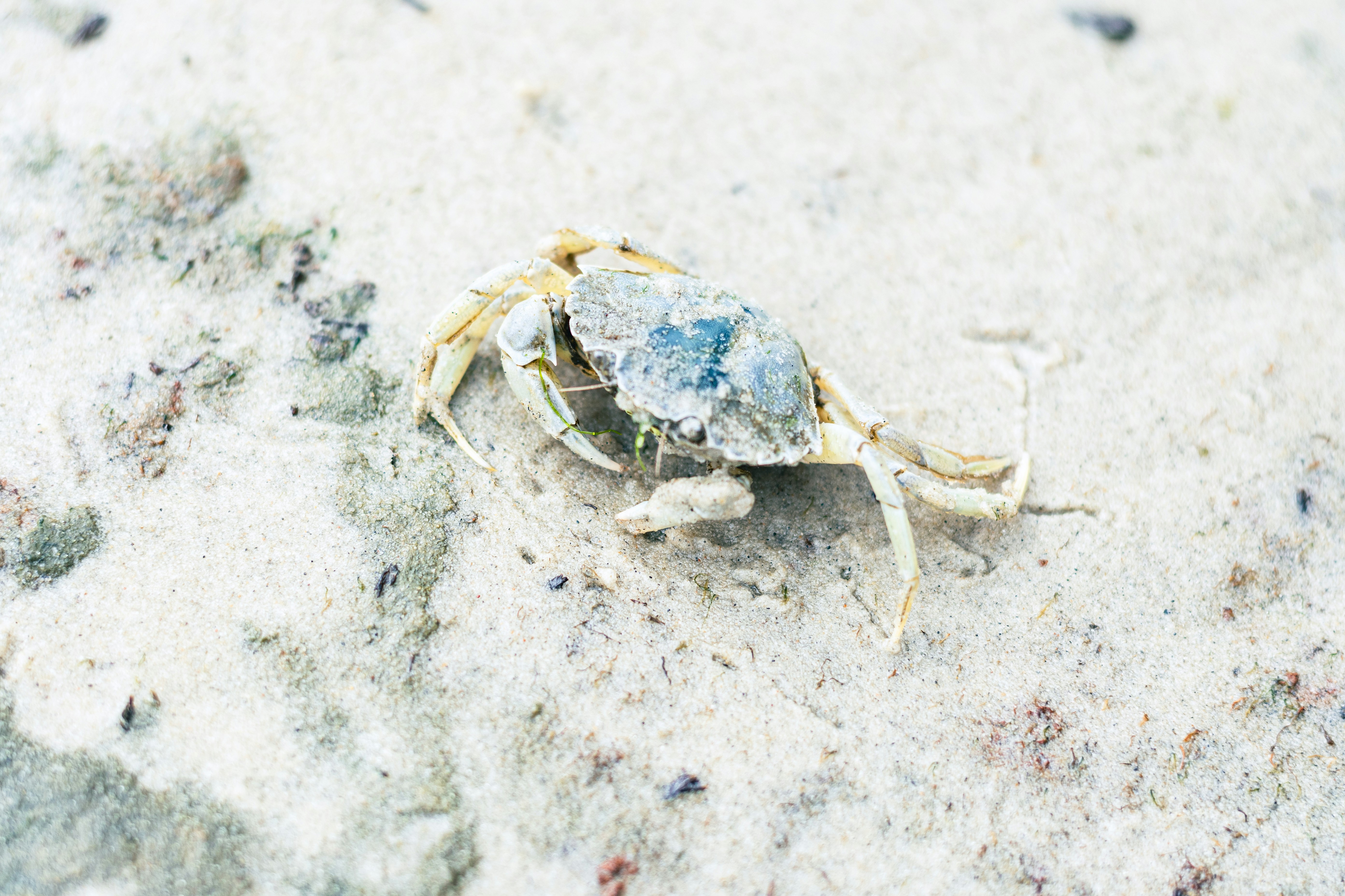 Photo by binekrafczyk