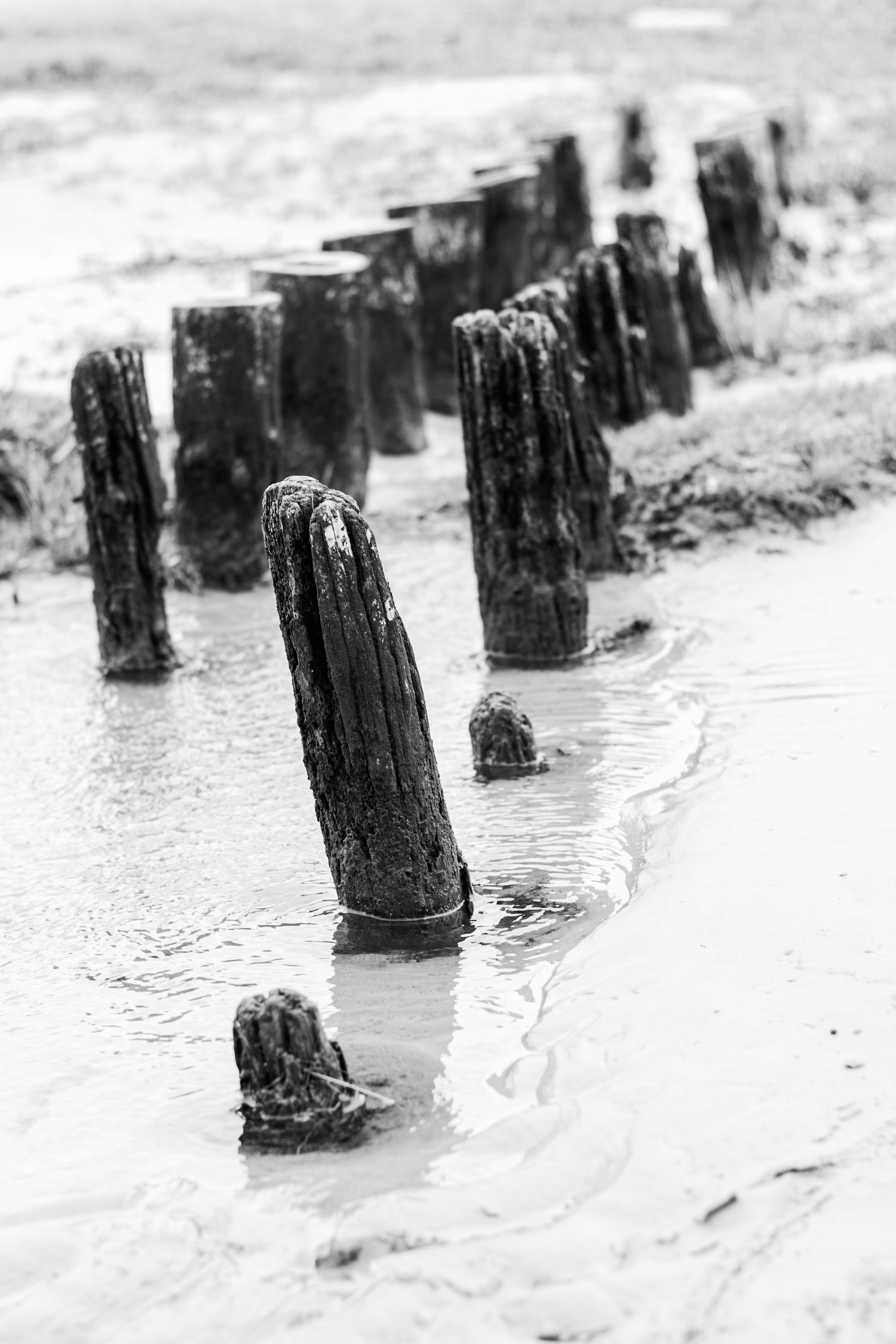 Photo by binekrafczyk