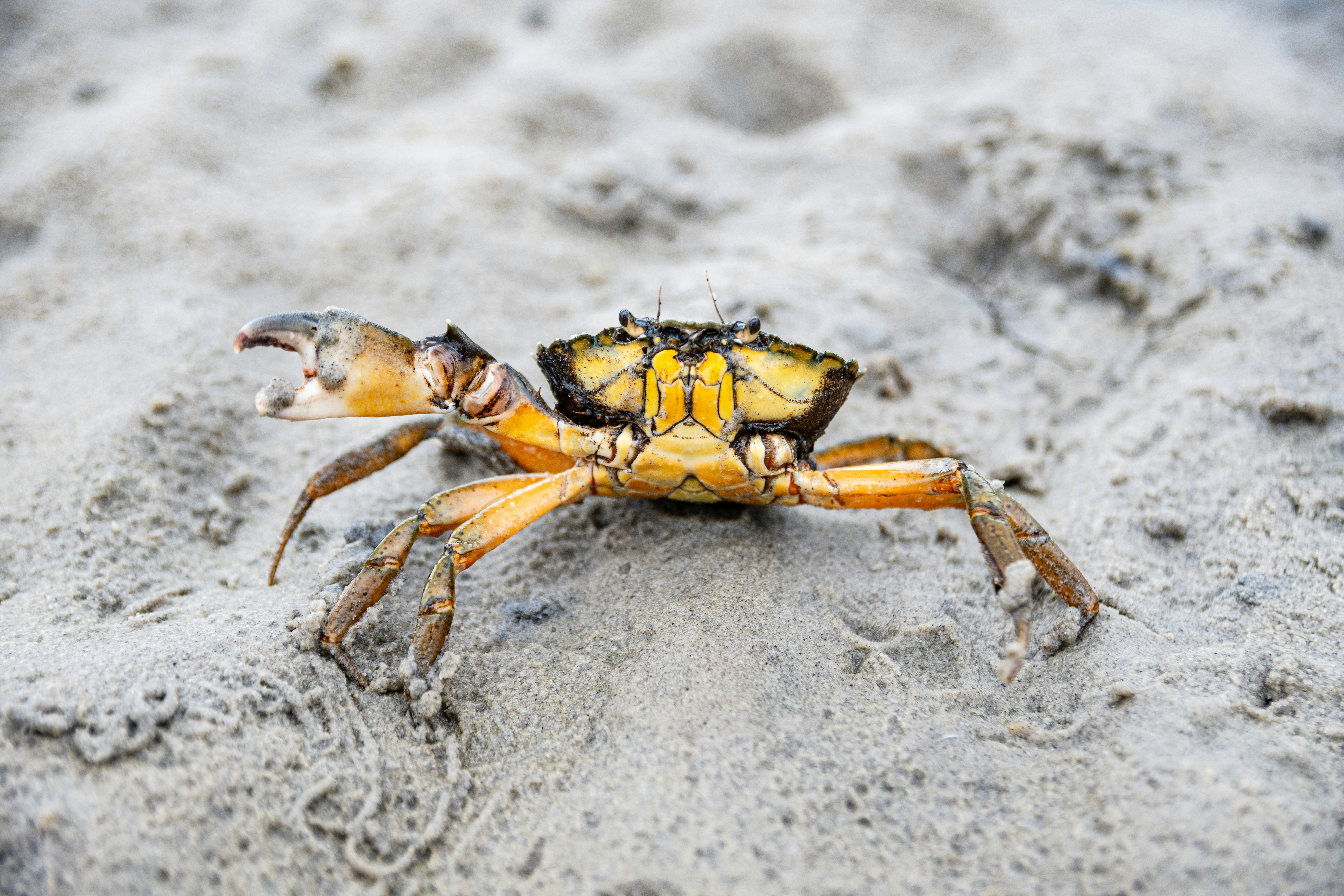 Photo by binekrafczyk