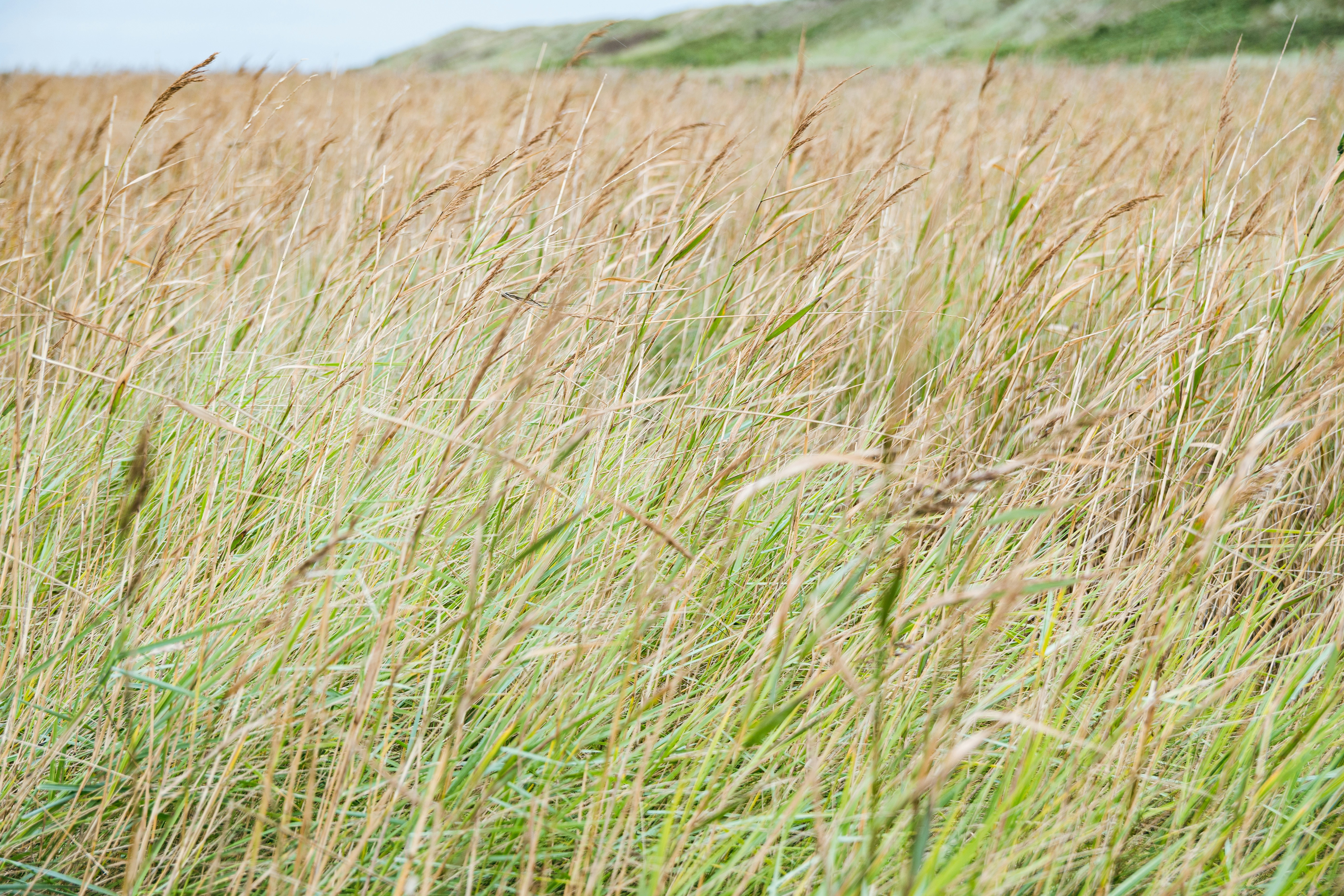 Photo by binekrafczyk