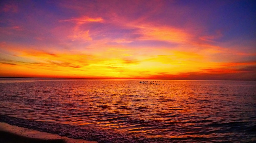 a sunset over the ocean with birds flying in the sky