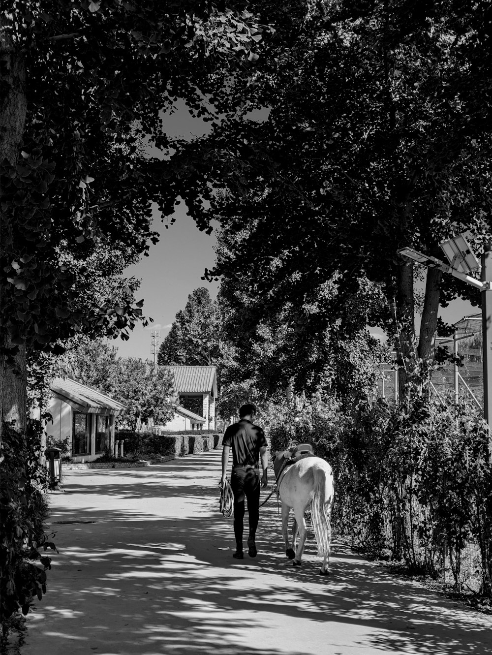 a black and white photo of a man walking a horse down a street