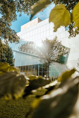 A modern building with a geometric design featuring large glass panels and a light-colored facade. The structure is surrounded by greenery, with trees and leaves partially framing the foreground. Sunlight reflects off the glass and filters through the leaves, casting a warm glow.