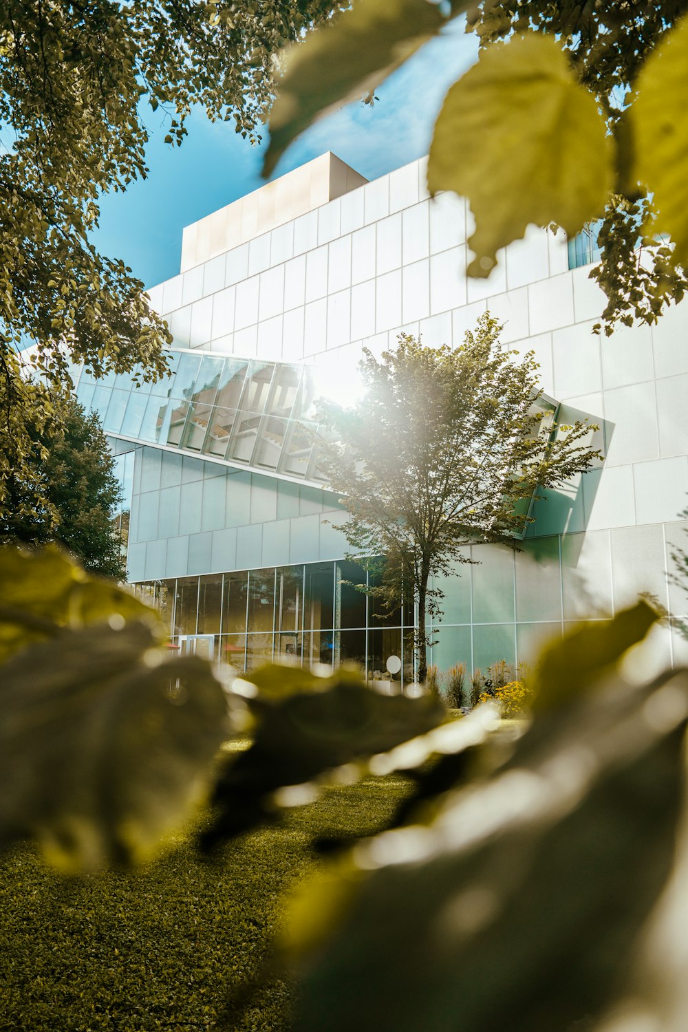 a building that has a tree in front of it