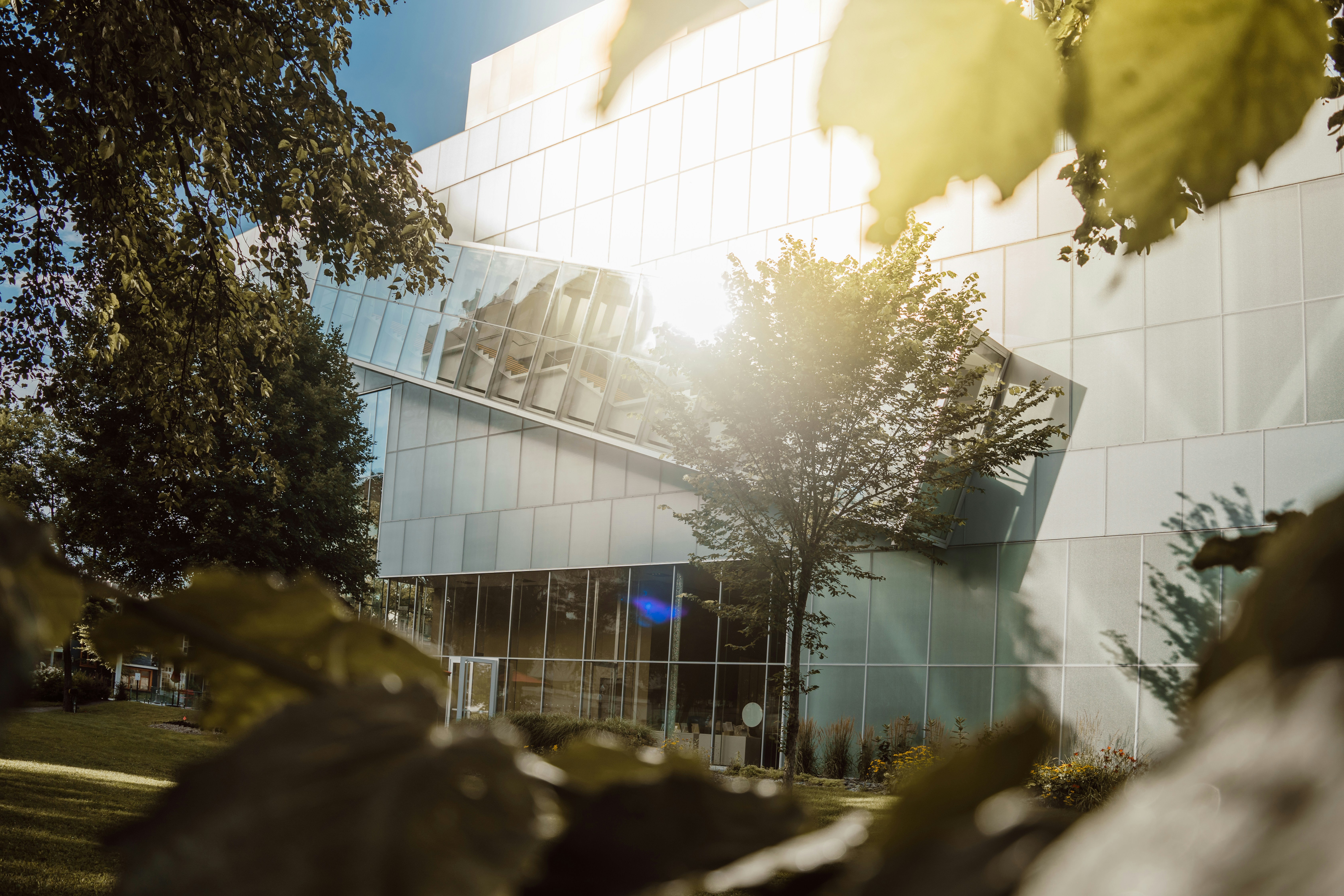 a large building with a large tree in front of it