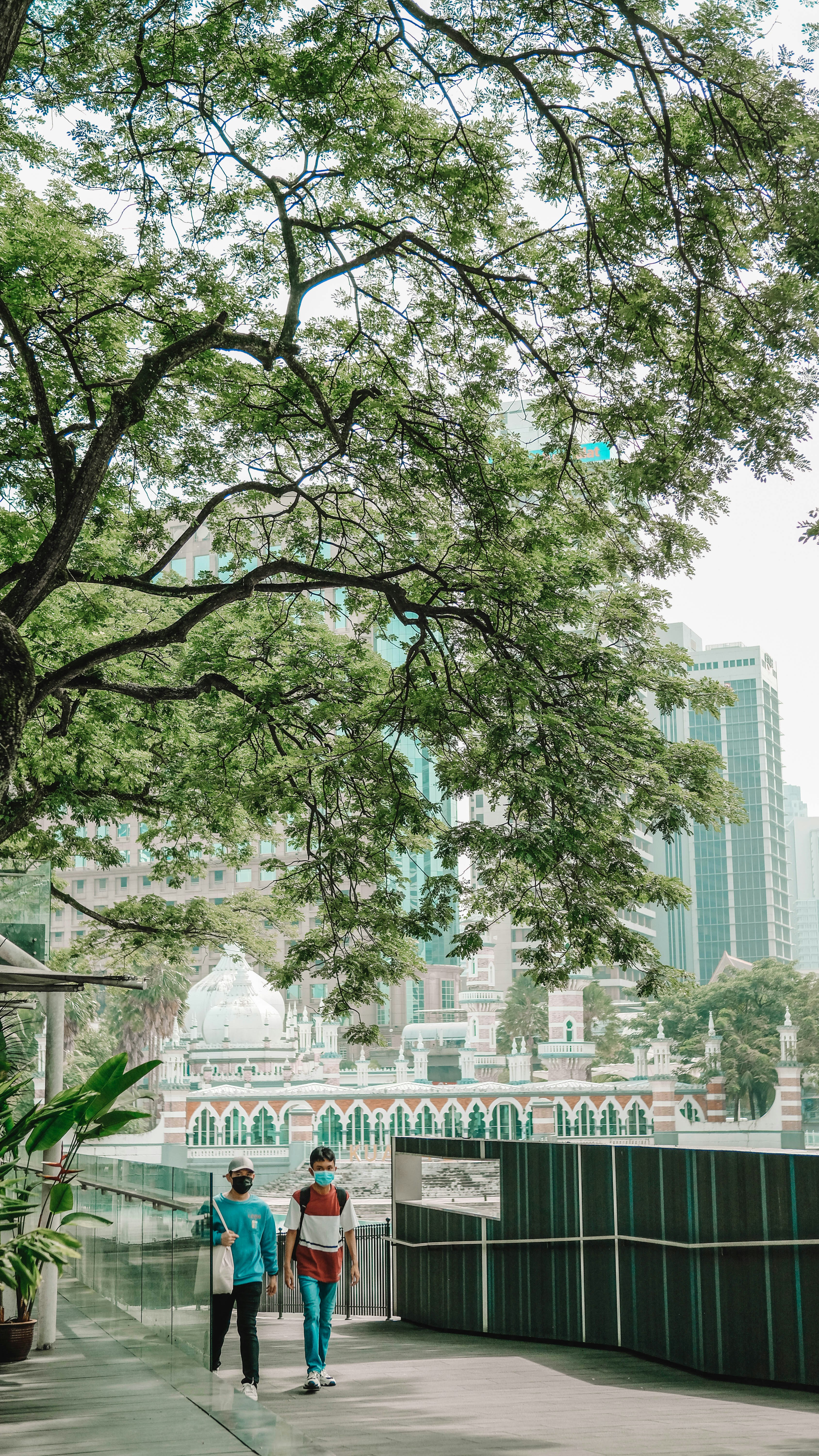 Electronics and Tech Considerations for Tropical Conditions