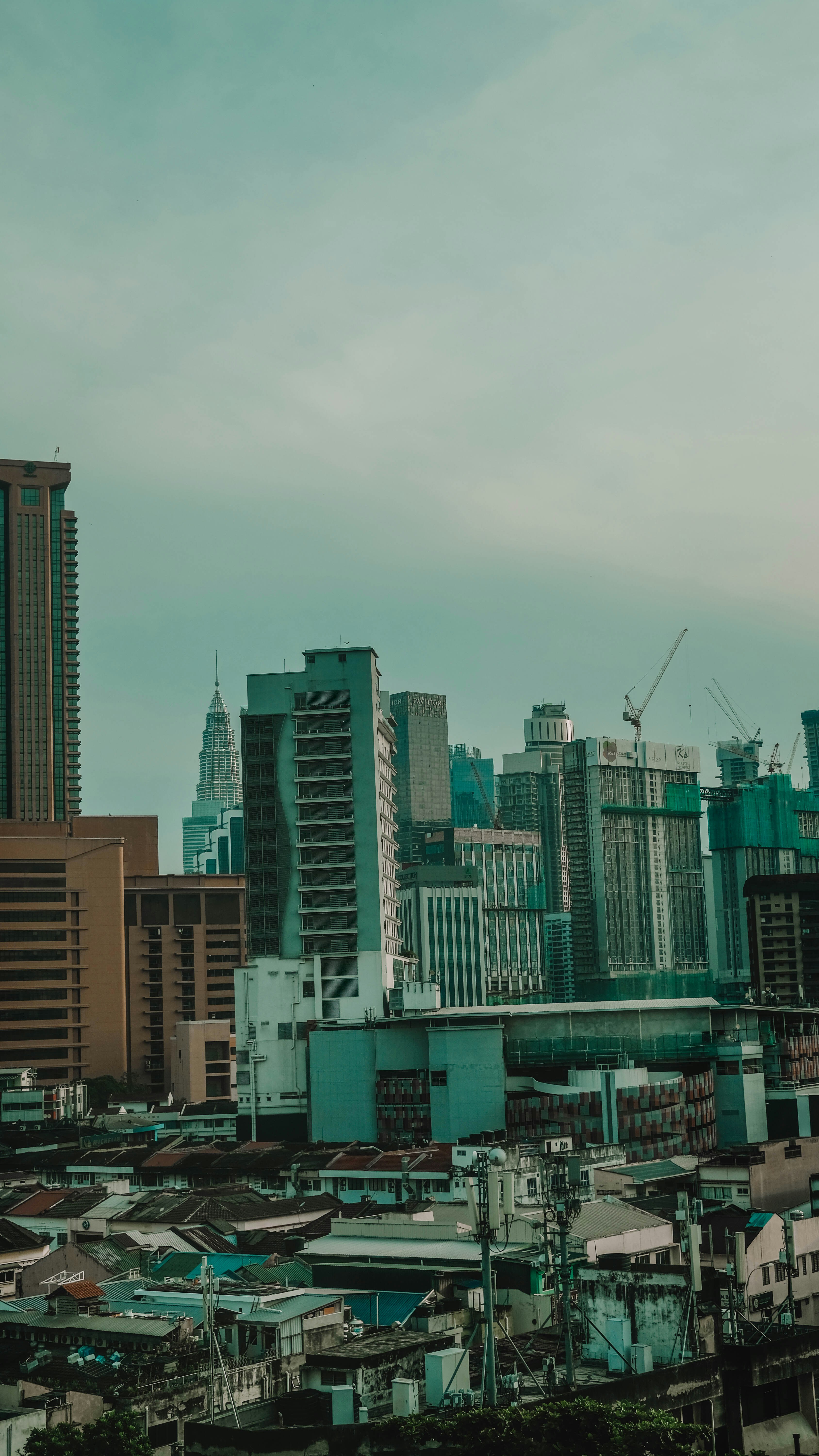 Photo by anniehatuanh