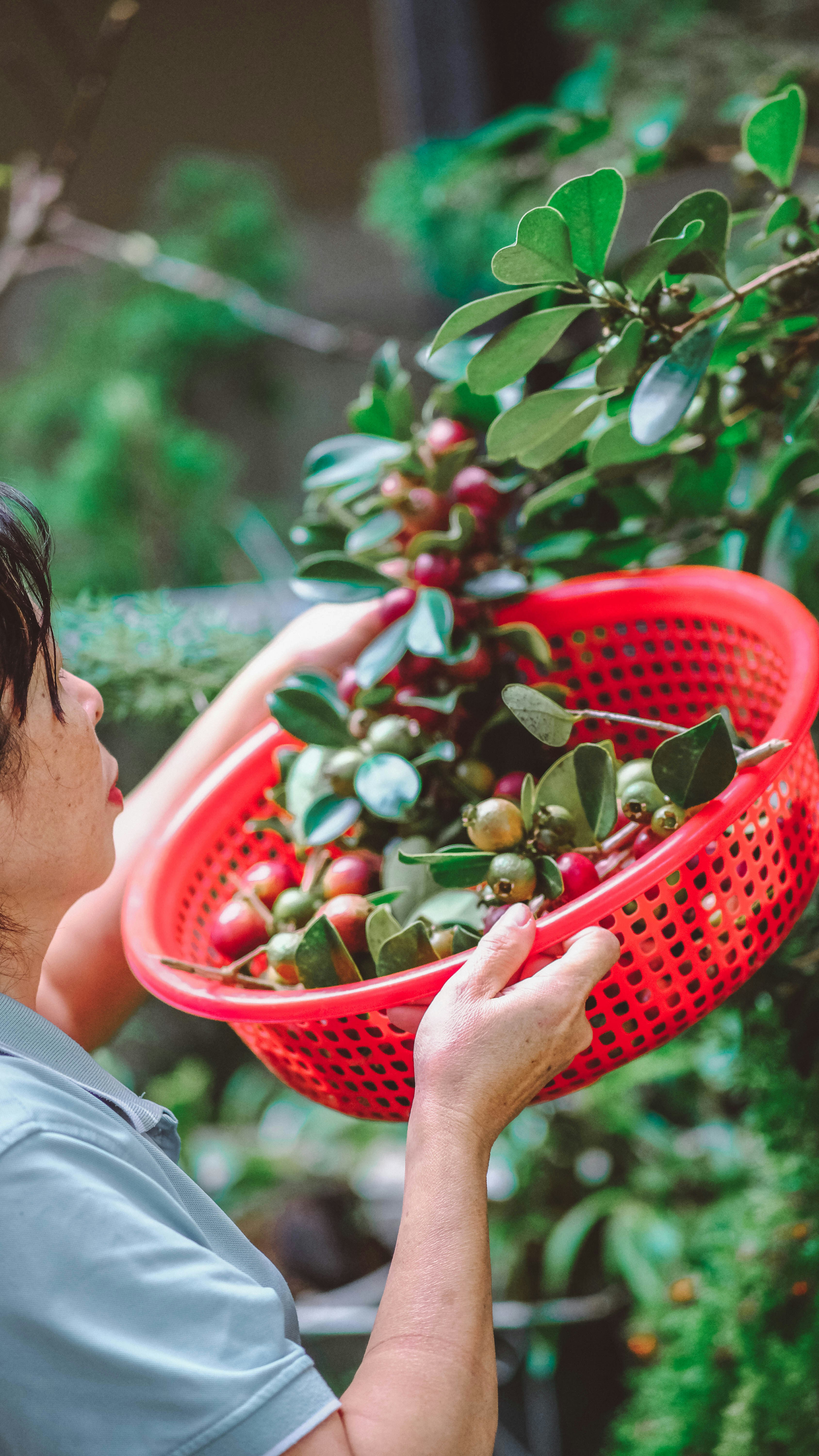 Photo by anniehatuanh