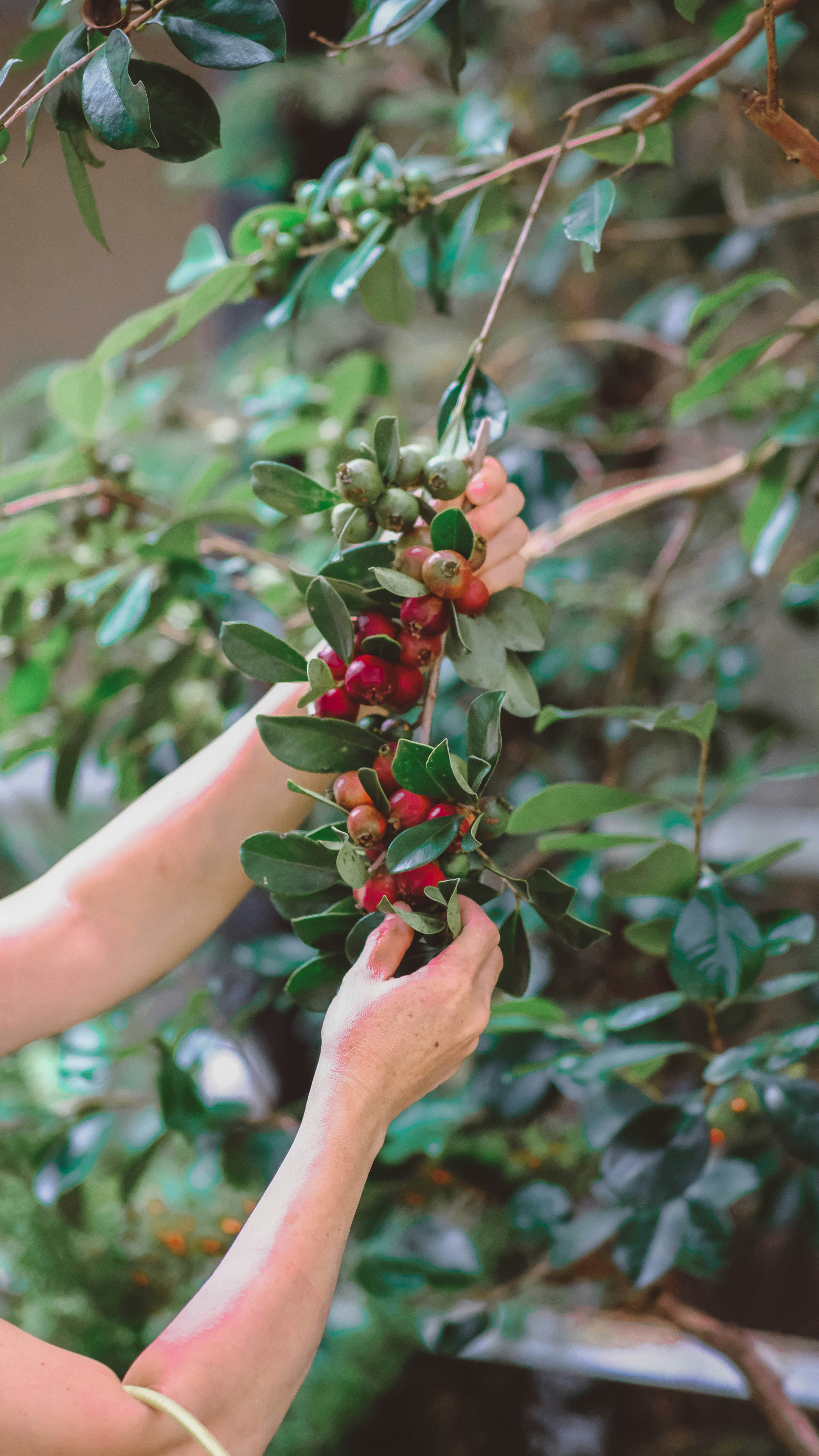 Photo by anniehatuanh