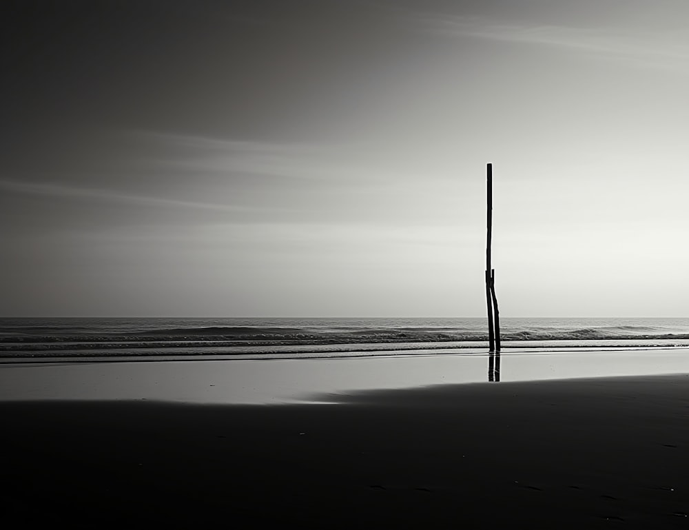 a pole sticking out of the sand on a beach