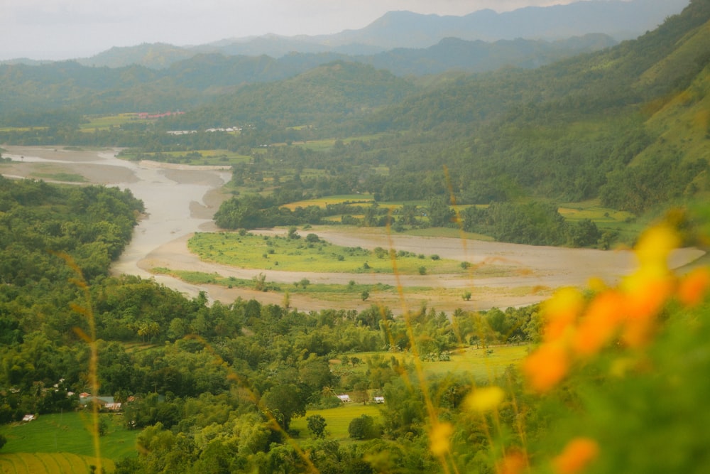 a river running through a lush green valley