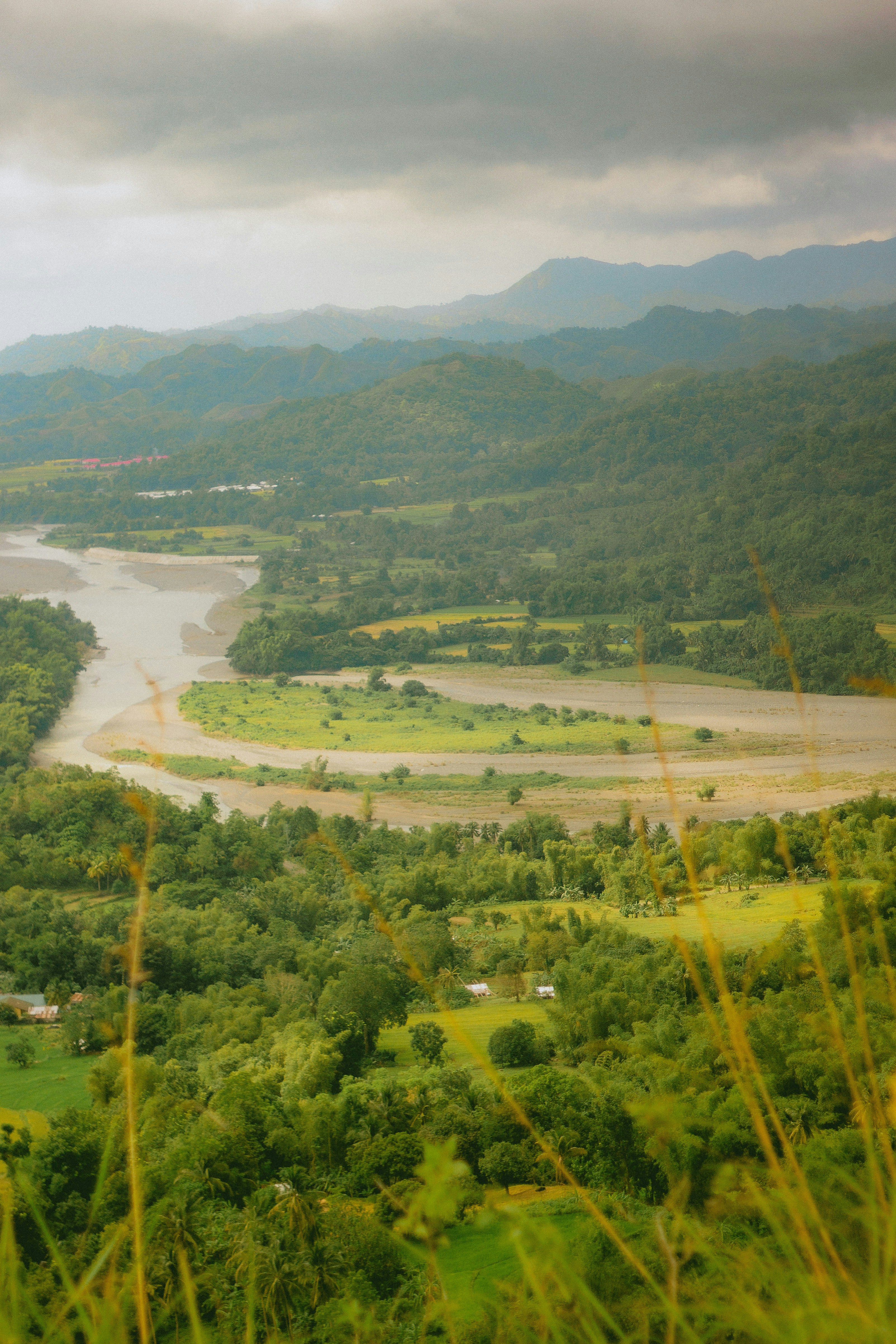 a river running through a lush green forest