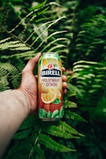 A hand holding a can of Birell Polotmavý Čitrón against a backdrop of lush green ferns. The can is colorful with images of lemons on it.