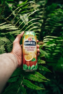 A hand holding a can of Birell Polotmavý Čitrón against a backdrop of lush green ferns. The can is colorful with images of lemons on it.