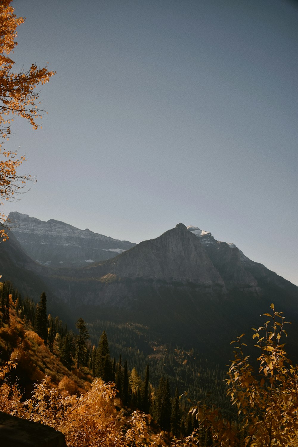 une vue d’une chaîne de montagnes avec des arbres au premier plan