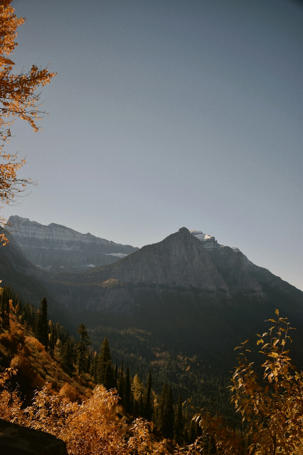 Una vista de una cadena montañosa con árboles en primer plano