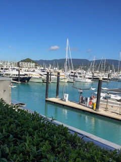 A marina with multiple yachts anchored, surrounded by clear turquoise water and set against a backdrop of lush green hills. Several people are seen walking along the dock, with well-maintained greenery in the foreground. The sky is clear and blue, contributing to the serene atmosphere.
