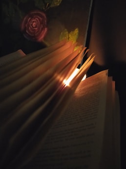 A dimly lit scene featuring an open book with its pages fanned out, illuminated by a warm light. A rose is visible in the background, adding a soft decorative element.