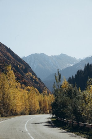A winding mountain road in Europe with autumn leaves painting the landscape in warm hues.