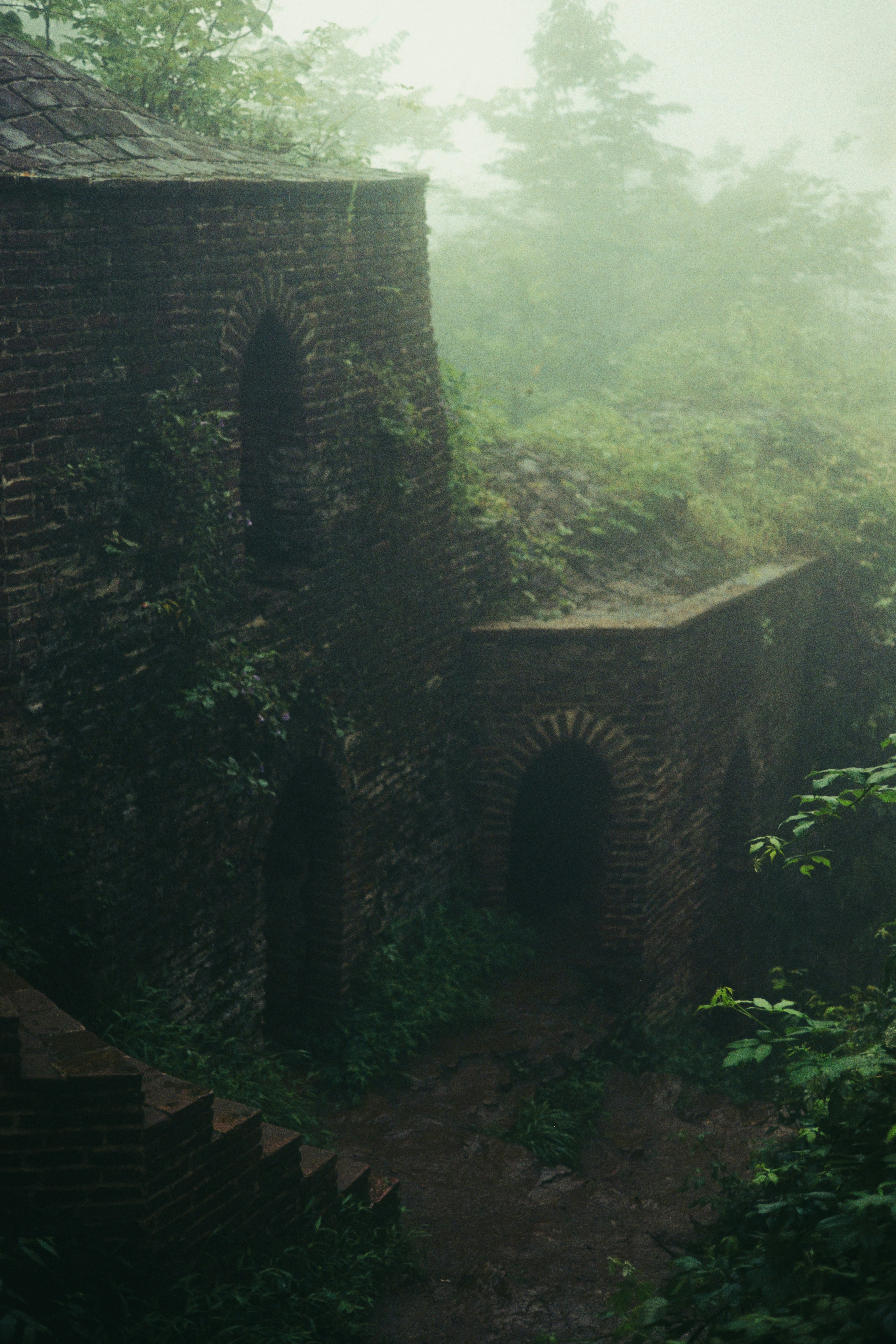 Un edificio muy antiguo en medio de un bosque