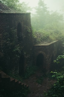 An ancient stone structure partially covered by lush vegetation and surrounded by mist. The building appears weathered, with arched doorways and brick walls. The atmosphere is serene yet mysterious, emphasizing a sense of history and nature reclaiming the area.