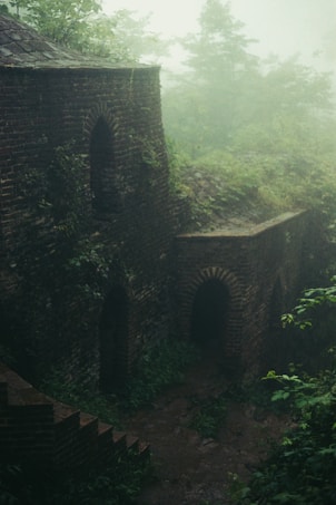 An ancient stone structure partially covered by lush vegetation and surrounded by mist. The building appears weathered, with arched doorways and brick walls. The atmosphere is serene yet mysterious, emphasizing a sense of history and nature reclaiming the area.