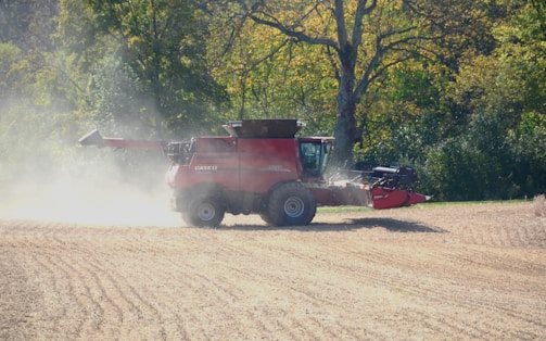 A red combine harvester is working in a field, surrounded by trees with dense green foliage. Dust is billowing around the machine as it moves across the recently harvested ground, indicating a dry and sunny day. The background shows a forested area under bright sunlight.