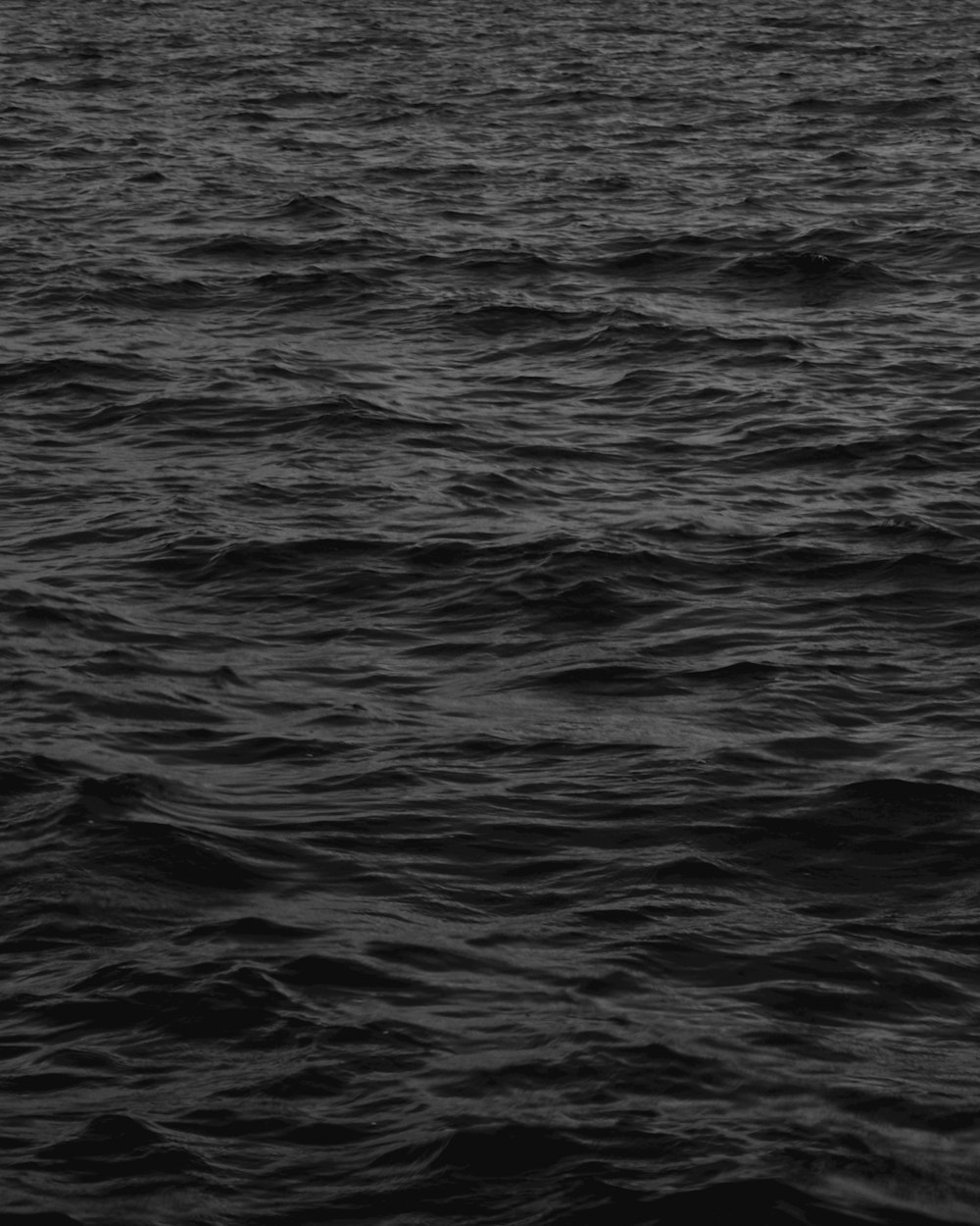 a black and white photo of a body of water