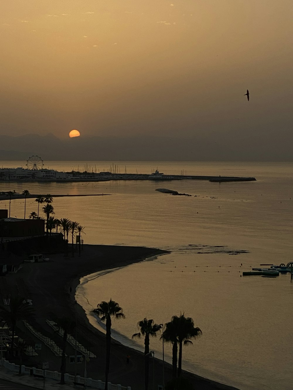 a sunset over a body of water with palm trees