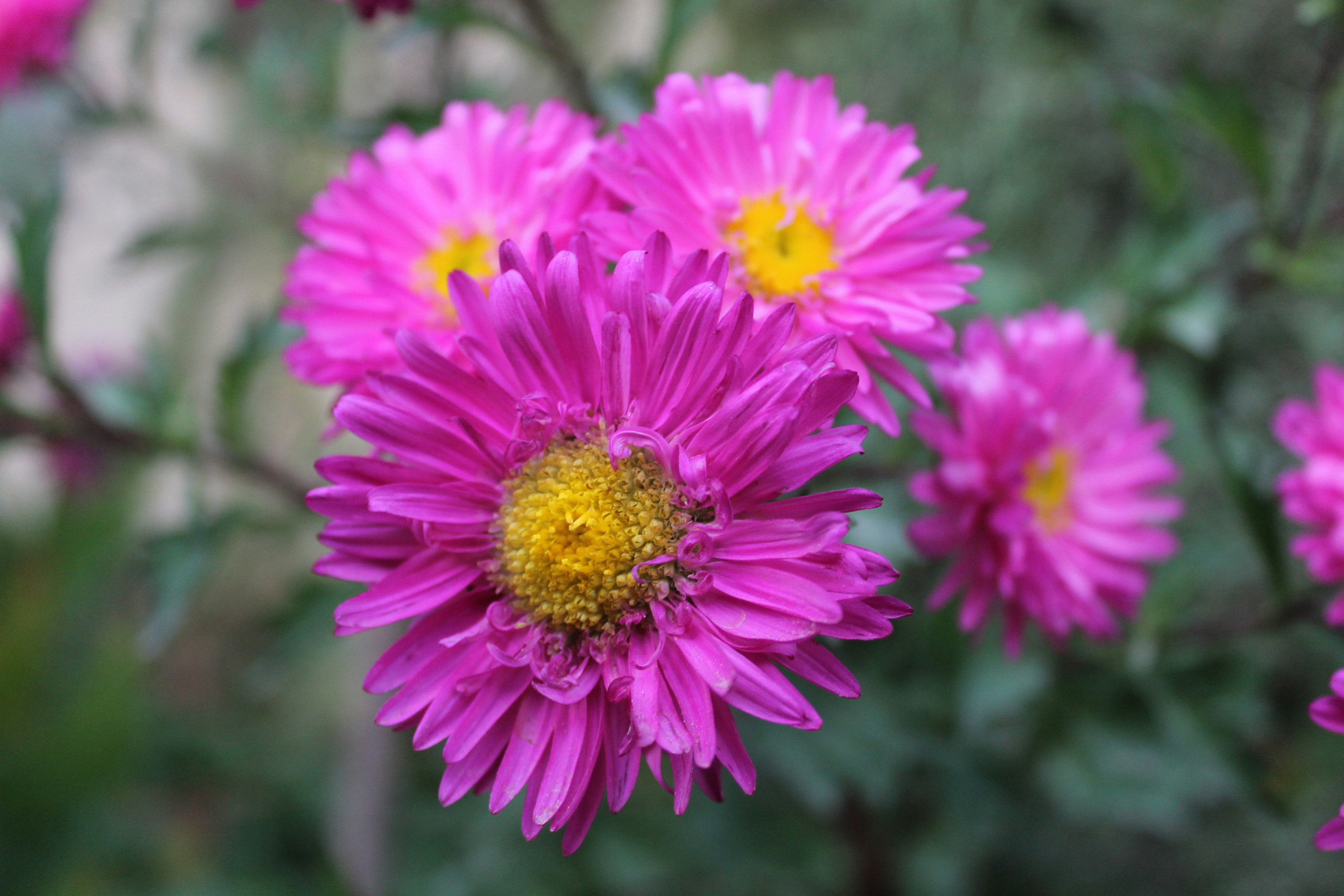 Photo by arshadkhilji